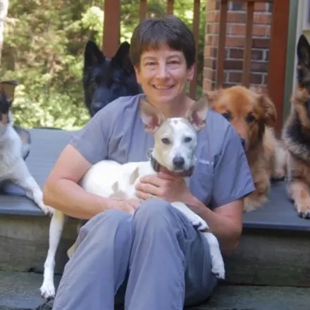Dr. Leanne Ksiazek of Northampton Veterinary Clinic sitting down on stairs holding a dog, with four dogs sitting behind her